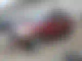 Vehicle Image- 2004 Honda CR-V