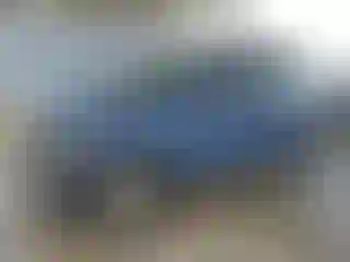Vehicle Image- 2005 Honda CR-V