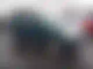 Vehicle Image- 2004 Honda CR-V