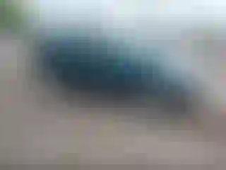 Vehicle Image- 2002 Honda CR-V