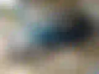 Vehicle Image- 2002 Honda CR-V
