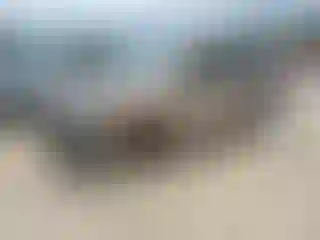 Vehicle Image- 2004 Honda CR-V
