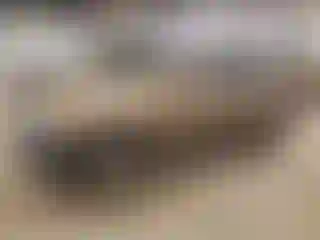 Vehicle Image- 2004 Honda CR-V