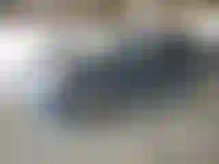 Vehicle Image- 2005 Honda CR-V