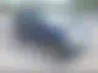 Vehicle Image- 2002 Honda CR-V