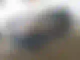 Vehicle Image- 2003 Honda CR-V