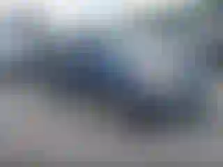 Vehicle Image- 2005 Honda CR-V