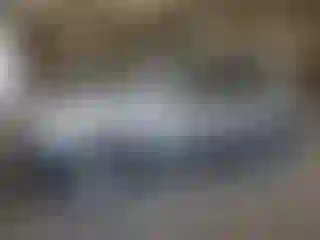 Vehicle Image- 2002 Honda CR-V