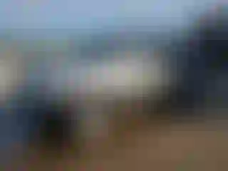 Vehicle Image- 2005 Honda CR-V