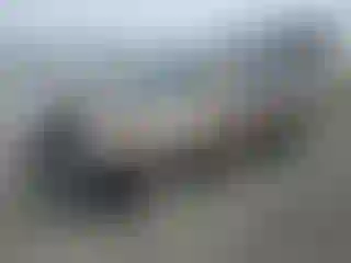 Vehicle Image- 2004 Honda CR-V