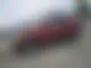 Vehicle Image- 2004 Honda CR-V