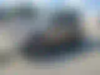Vehicle Image- 2002 Honda CR-V