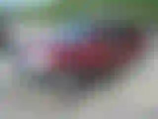 Vehicle Image- 2002 Honda CR-V