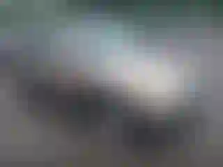 Vehicle Image- 2006 Honda CR-V