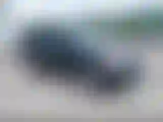 Vehicle Image- 2005 Honda CR-V