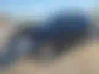 Vehicle Image- 2007 Honda CR-V