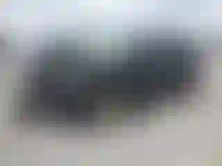 Vehicle Image- 2007 Honda CR-V