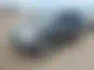 Vehicle Image- 2011 Honda CR-V