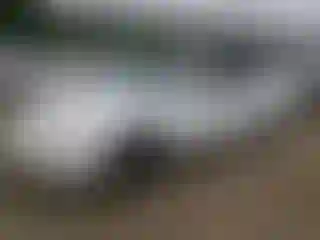 Vehicle Image- 1995 Honda Accord
