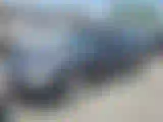 Vehicle Image- 1994 Honda Accord