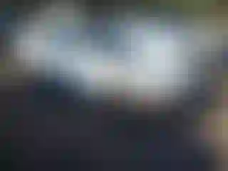 Vehicle Image- 1994 Honda Accord