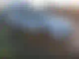 Vehicle Image- 2000 Honda Accord