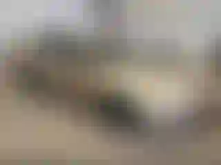 Vehicle Image- 2000 Honda Accord