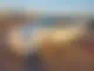 Vehicle Image- 2000 Honda Accord