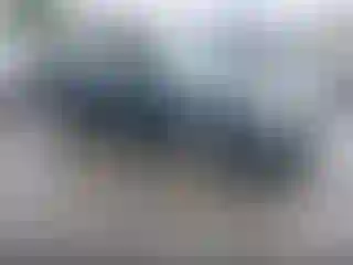 Vehicle Image- 1999 Honda Accord