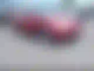 Vehicle Image- 2002 Honda Accord