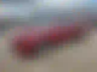 Vehicle Image- 2000 Honda Accord