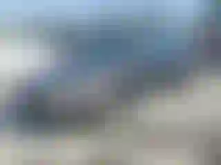 Vehicle Image- 2002 Honda Accord