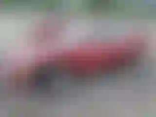 Vehicle Image- 2002 Honda Accord
