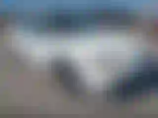 Vehicle Image- 1999 Honda Accord