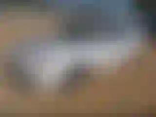 IMPORTOWO.pl