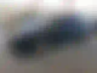 Vehicle Image- 2001 Honda Accord