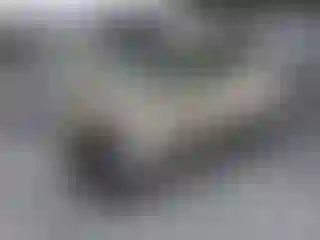 Vehicle Image- 2000 Honda Accord