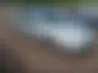 Vehicle Image- 2007 Honda Accord