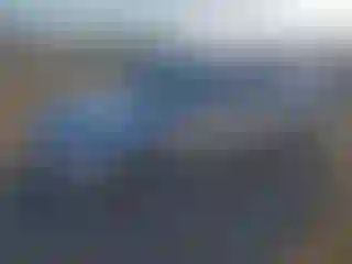 Vehicle Image- 2007 Honda Accord