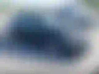 Vehicle Image- 2007 Honda Accord