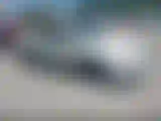 Vehicle Image- 2007 Honda Accord