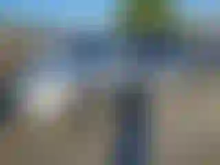 Vehicle Image- 2003 Honda Accord