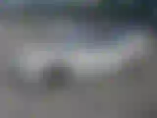 Vehicle Image- 2003 Honda Accord