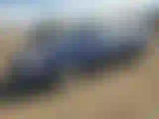 Vehicle Image- 2003 Honda Accord