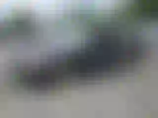 Vehicle Image- 2003 Honda Accord