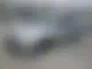 Vehicle Image- 2003 Honda Accord
