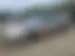 Vehicle Image- 2003 Honda Accord