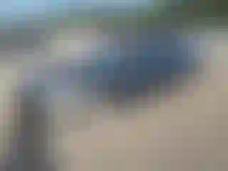 Vehicle Image- 2007 Honda Accord