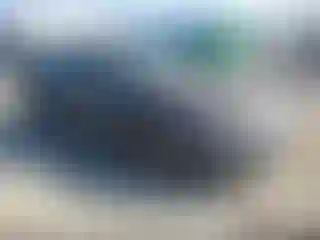 Vehicle Image- 2007 Honda Accord