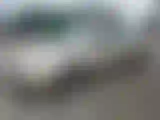 Vehicle Image- 2005 Honda Accord